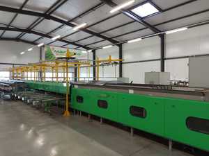 Francese Maf Roda 3 linee per albicocche multifunzionale di frutta linea di lavorazione prezzo competitivo originale usato frutta linea di classificazione