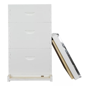 Ruche Langstroth assemblée et peinte à 10 cadres, kit complet avec cadres en bois et fondation en cire d'abeille pré-imprégnée - Product Image 3