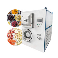 Mijn commerciële 10kg 15kg vriesdroger, beste kwaliteit, kleine voedseldroger te koop voor thuisgebruik