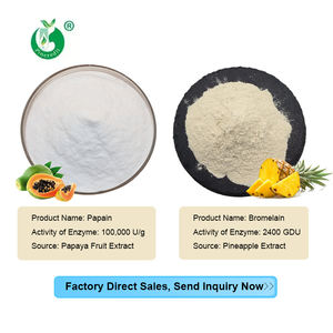 Pincredit Wholesale 2400GDU Organic Pineapple Extract Enzyme <strong>Bromelain</strong> <strong>Powder</strong> - Product Image 3