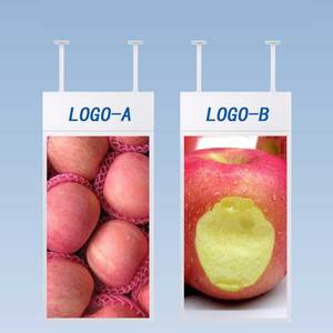 Độ sáng cao Treo Cửa Sổ Cửa hàng Dual Sided LCD hiển thị màn hình quảng cáo hai mặt kỹ thuật số biển media player - Product Image 1