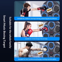 Machine de boxe musicale N1 Smart, cible de boxe électronique murale, 6 pads LED, entraîneur de frappe interactif, salle de sport à domicile