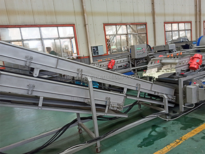 Khoai tây chiên và thiết bị chế biến khoai tây chiên Dây chuyền rửa và chế biến rau quả - Product Image 5