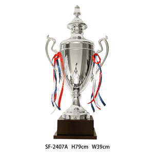 Premi di 40-60CM di altezza del trofeo del mondo Made in cina per i campionati di vendita all'ingrosso di vendita calda di Design libero trofeo di calcio - Product Image 6