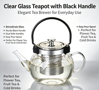 Théière classique en verre borosilicate texturé diamanté avec poignée en métal noir, bouilloire artisanale avec infuseur en acier inoxydable pour thé en vrac
