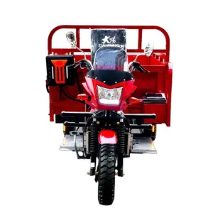 DAYANG hot sale heavy loading truck tricycle 3wheel motorcycle 200CC super cold engine Lifan 2.4*1.4 carriage Red body type