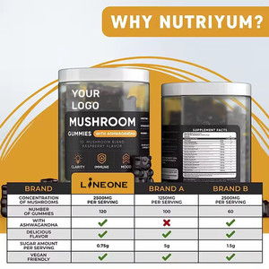 Хит продаж, мощный комплексный грибной мармелай, 10 смесей, гриб для мужчин и женщин, усилитель для мозга, энергия иммунной поддержки - Product Image 3