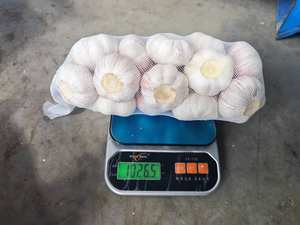 Ajo chino, verduras frescas, ajo fresco, precio al por mayor, fábrica de China - Product Image 6