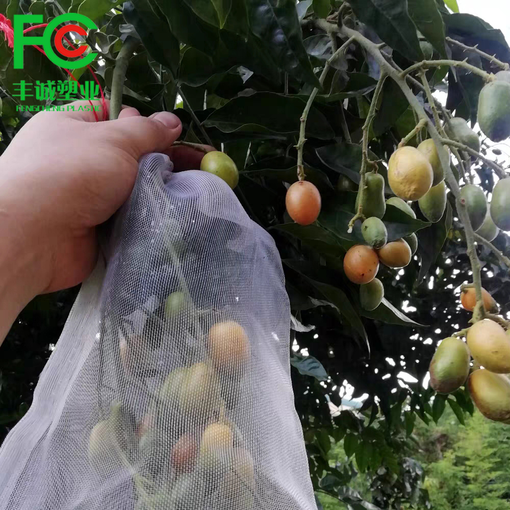 Cari Terbaik jual jaring buah Produsen dan jual jaring buah untuk