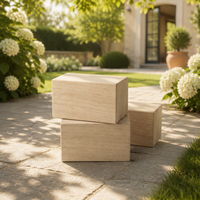 Le bloc de bois de paulownia massif de la marque HJG le plus populaire, design moderne, facile à utiliser, parfait pour la sculpture et la construction résidentielle