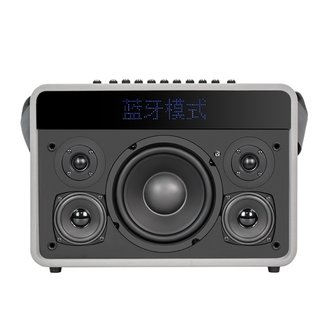Lyrics Speaker Pick #11 (220242)