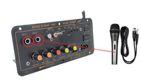 Sıcak satış D100 ağır bas 24V 220V Subwoofer HI-FI 100W güç Amp USB uzaktan kumanda araba yüksek güç amplifikatörü kurulu Bluetooths5.3