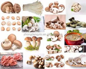 Machine de remplissage de sacs de culture de champignons, équipement d'emballage et de scellage de sacs pour la culture de champignons - Product Image 6