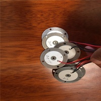 Sensor Piezo Vibrator Piezoelektrik Keramik Pzt 4 Harga Terbaik