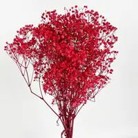 Gypsophila نبات معلق المحفوظة دسم الأبيض الأحمر gypsophila أزهار محفوظة ل زينة عيد الميلاد