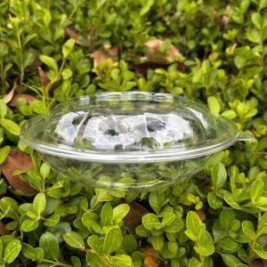 16 Oz Huisdier Transparante Ronde Salade Saus Container Combo Met Handige <span class=keywords><strong>Go</strong></span> 450 Ml Plastic Dozen Deksel Voedsel Opslag En Serveren - Product Image 5