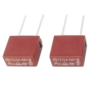 Tùy Chỉnh Vuông Cầu Chì Subminiature Thổi Chậm 250V <span class=keywords><strong>Radial</strong></span> Chì Micro Cầu Chì - Product Image 1
