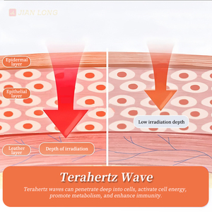 Jianlong Terahertz Terapia Profesional Gua Sha Alivio del Dolor Corporal Fisioterapia Dispositivo de Terapia Magnética Curación Natural - Product Image 4