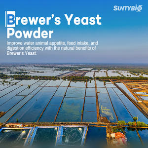 Alta potencia 40% 45% Brewers Levadura en polvo Vitaminas Grado <span class=keywords><strong>de</strong></span> alimentación Aminoácidos para peces Ganado <span class=keywords><strong>Vaca</strong></span> <span class=keywords><strong>Precio</strong></span> competitivo Proveedor <span class=keywords><strong>de</strong></span> China - Product Image 1