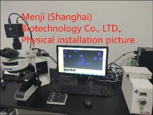 生物顕微鏡明るいフィールドオリンパスBX53 - Product Image 2