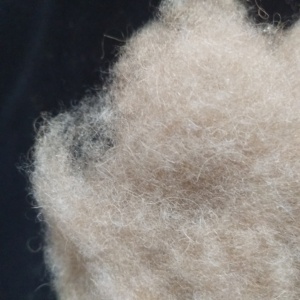 Différents types de fibres de chameau prix <span class=keywords><strong>du</strong></span> <span class=keywords><strong>marché</strong></span> chinois matériau de meilleure qualité compétitif le <span class=keywords><strong>moins</strong></span> cher à vendre - Product Image 5