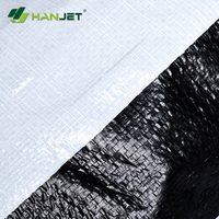 Bâche en tissu PE enduit de haute qualité, écologique, séchage rapide, résistante au rétrécissement, imperméable et anti-UV pour couverture de camion