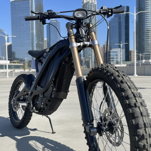 <span class=keywords><strong>Moto</strong></span> Eléctrica de Enduro Sur-Ron Light Bee Modificada 10kW 2025 con Motor y Controlador - Product Image 4