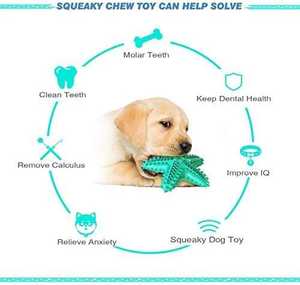 Jouet à mâcher de couleur personnalisée, interactif et sonore TPR, jouet écologique pour <span class=keywords><strong>chien</strong></span>, style classique, étoile de mer avec brosse à <span class=keywords><strong>dents</strong></span> en caoutchouc - Product Image 3
