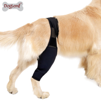 En gros réglable doux confort orthopédique récupération protecteur néoprène chien articulation jambe orthèse manchon de soutien