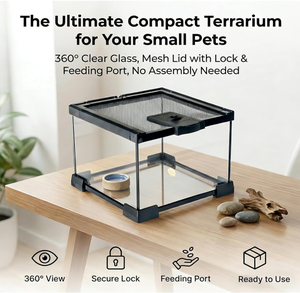 Terrario Rectangular de Vidrio Transparente, Ecológico, Ligero, Duradero y Reutilizable para Reptiles, Caja de Cría para Mascotas, Venta al Por Mayor - Product Image 2