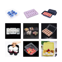 Récipient alimentaire à emporter en plastique refroidisseur de fruits boîte d'emballage soufflage porte-gobelet portable plateau à oeufs machine à fabriquer