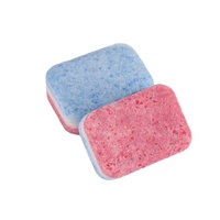 Pastilles de savon détergent en poudre pour la vaisselle, 100g, OEM, lave-vaisselle