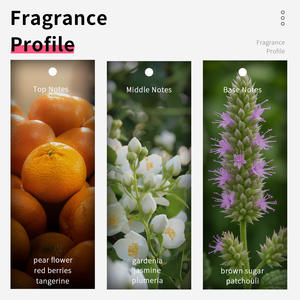 Perfume Vilily de 38 ml, Tamaño Regular, Fragancia para Mujer, Jazmín y <span class=keywords><strong>Gardenia</strong></span>, Spray de Larga Duración, Uso Diario Moderno, Uso en el Hogar - Product Image 2