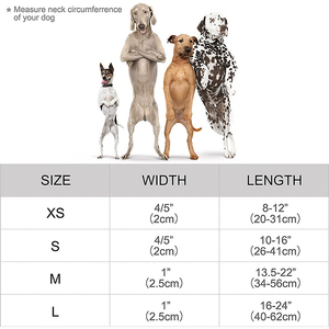 Weiches und bequemes Hunde halsband aus weißem Samt mit Fliege und Metalls chnalle - Product Image 6