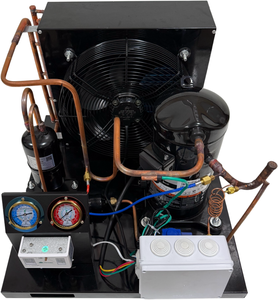 Lạnh buồng lạnh ngưng tụ đơn vị với thiết bị bay hơi toàn diện máy nén cho tối ưu performancer290/380V - Product Image 2