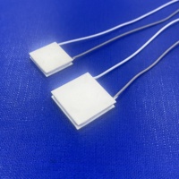 Module de refroidissement thermoélectrique à semi-conducteurs, mini-puce Peltier TEC 20*20mm
