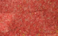 Petite mini déchiqueteuse industrielle de textile en plastique LDPE en acier broyeur de déchets broyeur de plastique rectifieuse