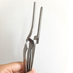 Pinzas para Papel de Cabeza Recta y Curva, Herramientas Básicas de Exploración Quirúrgica para <span class=keywords><strong>Dentistas</strong></span> para Usar en Casa - Product Image 3