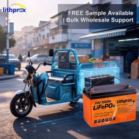 Batterie de tricycle électrique LiFePO4 de qualité A 24V300AH, charge rapide, sortie haute puissance pour scooter pour personnes handicapées, RoHS CE UN38.3 FCC OEM