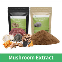 Mélange de poudre d'extraits de champignons 8 en 1 : Crinière de lion, Reishi, Cordyceps, Chaga, Shiitake, Maitake, Queue de dinde
