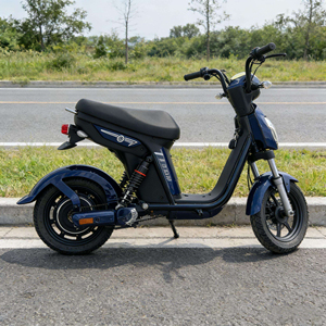 Trottinette électrique avec roue de 16 pouces, moteur arrière sans balais 48V 500W/800W, affichage numérique à 3 vitesses, batterie au plomb-acide/lithium, pour adultes - Product Image 5