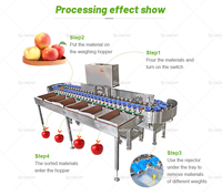 Machine industrielle de calibrage des fruits et légumes avec tri optique pour l'ail, l'oignon, la pomme de terre, le curcuma - Capacité 100-2000 KG/H 220V