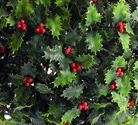 Haute qualité faux extérieur intérieur topiaire boule herbe verte plante ronde boules décoratives rouge Friuit pour la maison jardin fête de mariage