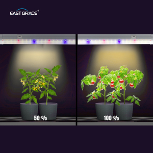 Dissipateur thermique en aluminium intégré 4000k haute puissance <span class=keywords><strong>LED</strong></span> Grow Light T8 Clone Lamp pour la <span class=keywords><strong>culture</strong></span> des plantes d'intérieur - Product Image 4