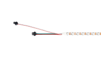 Bande LED SPI FCOB RGBW 784 LED/M avec IC externe WS2811, blanc chaud, blanc froid, télécommande, bande lumineuse d'ambiance RGBW