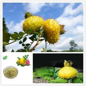 Natuurlijke 17% Vc 100000u/G Zode <span class=keywords><strong>Rosa</strong></span> <span class=keywords><strong>Roxburghii</strong></span> Extract Water Oplosbare <span class=keywords><strong>Rosa</strong></span> <span class=keywords><strong>Roxburghii</strong></span> Fruit Poeder - Product Image 2