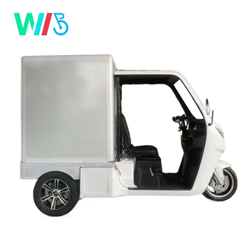 2023 New EEC 3 Wheel Mini Electric Motorcycle for Cargo Electric Cargo Tricycle