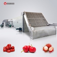 Hoge capaciteit fruitbanddroger 20T/D stoomverwarming SUS304 22kw pruimen rode dadels fruitdroogmachine