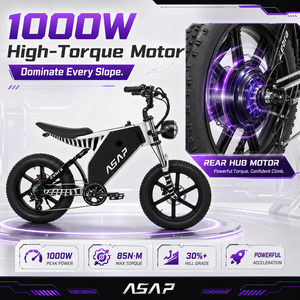 Vélo tout-terrain adulte 20 pouces avec pneus larges, suspension intégrale, batterie au lithium, cadre en aluminium, moteur 1000W, livraison rapide, Zebra Electri - Product Image 3