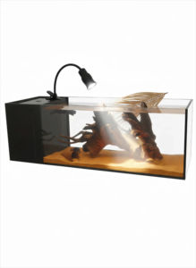 OEM/ODM 110V en 220V <span class=keywords><strong>aquarium</strong></span> viskom ultraheldere zijfilter Zuid-Amerikaans glazen <span class=keywords><strong>aquarium</strong></span> - Product Image 5
